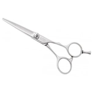 Passion V10 Hairdressing Scissors