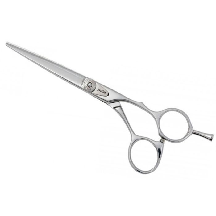 Passion Avanti Hairdressing Scissors